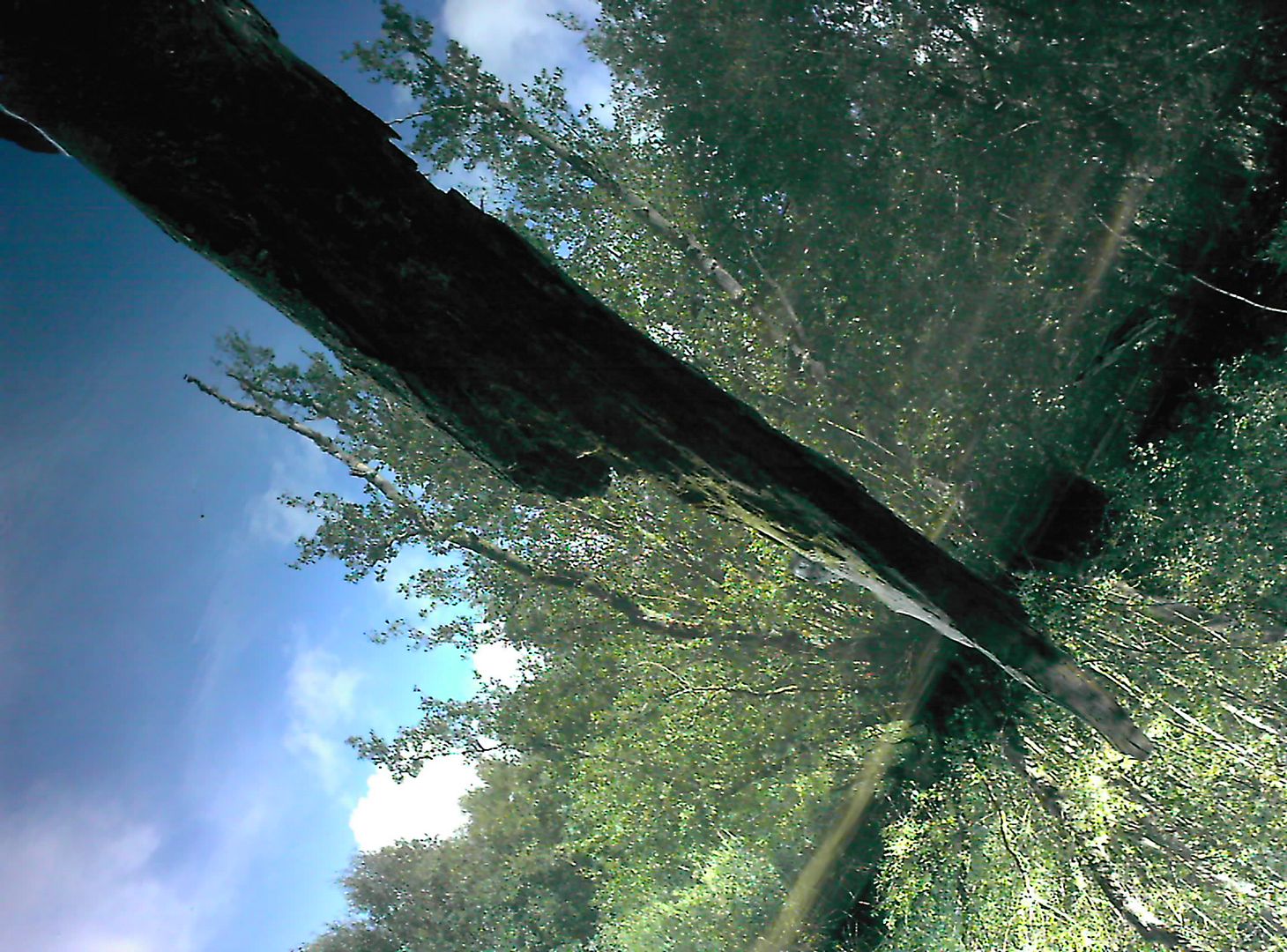 stranger than known: The Return of Manta Ray - Manta Ray live 14 / 12